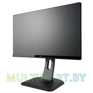 Монитор Iiyama ProLite XUB2390HS-B1 картинка 4